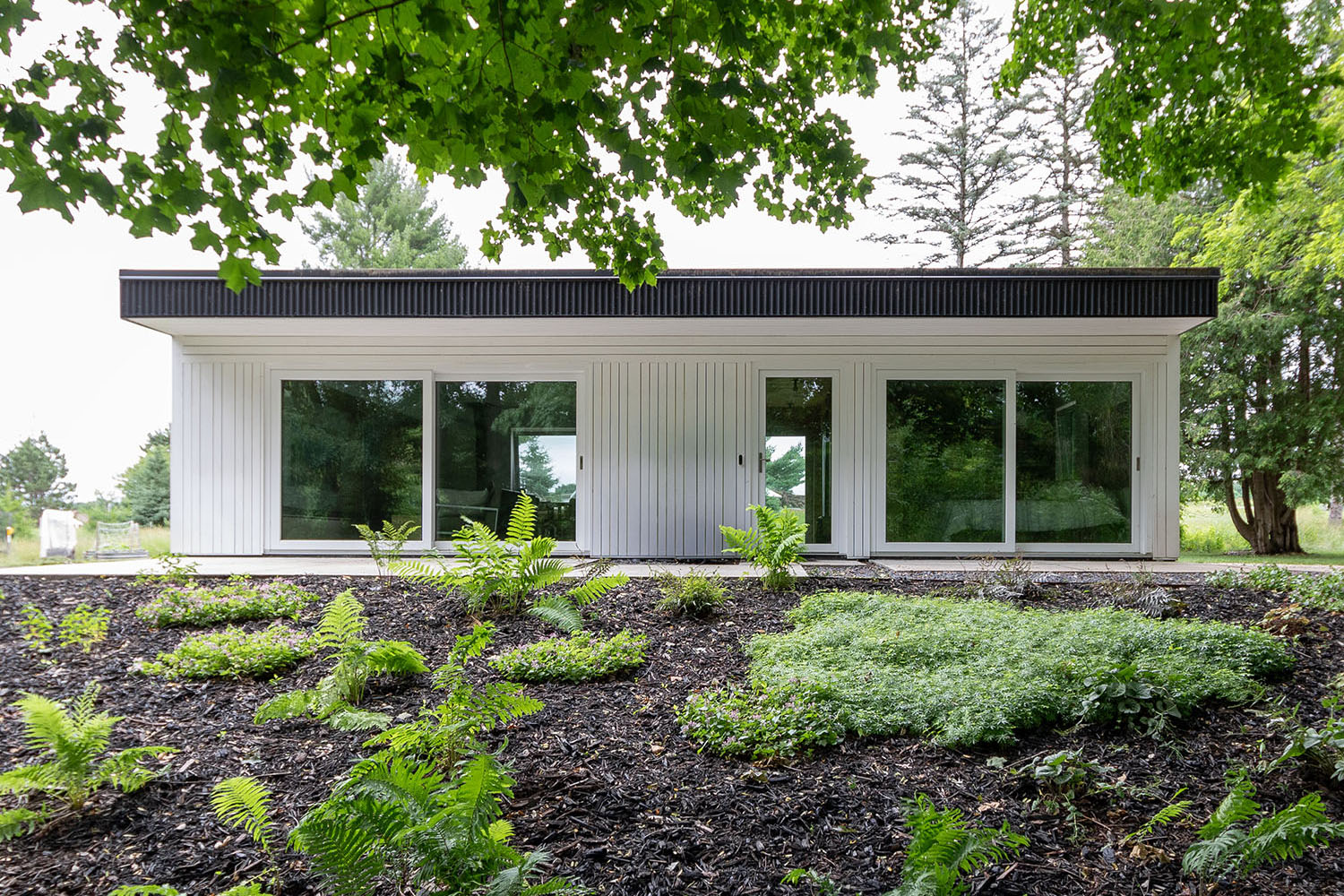 Little Wolf weeHouse by Alchemy Architects — image 1