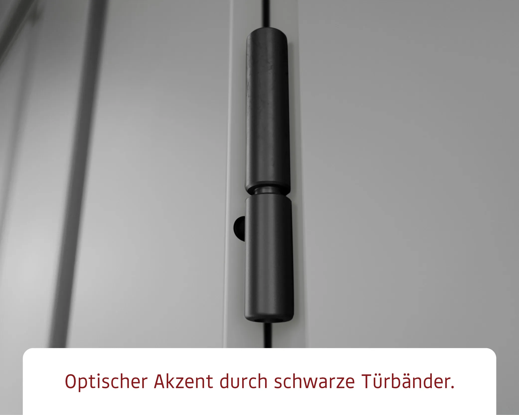 ZFD-4-LB-ET-RAL9007 de Bertsch-Holzbau (BHB) — imagen 6