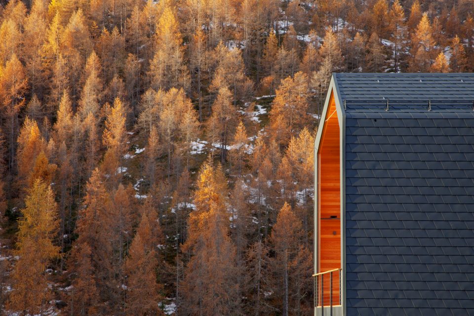 Leap Factory House by Leap Factory — image 1