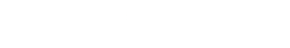 DublDom logo