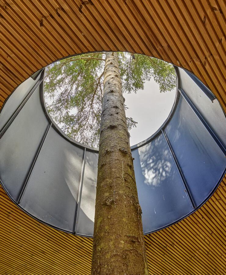 Polar Life Haus by Polar Life Haus — image 4