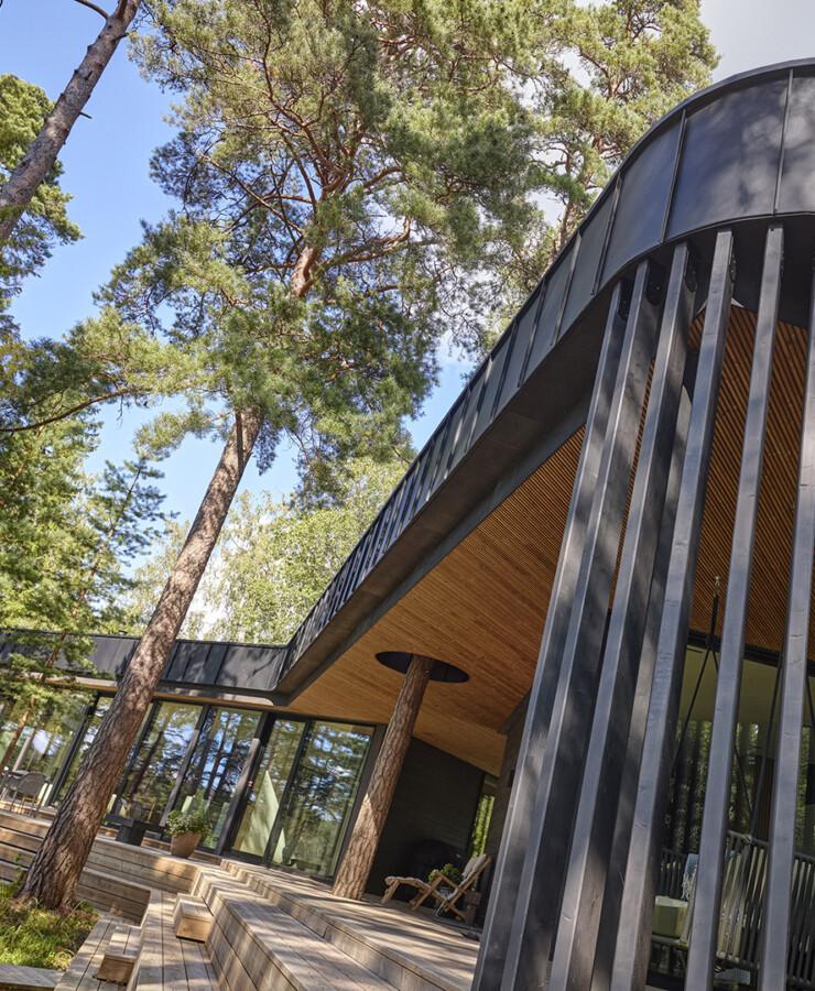 Polar Life Haus by Polar Life Haus — image 5