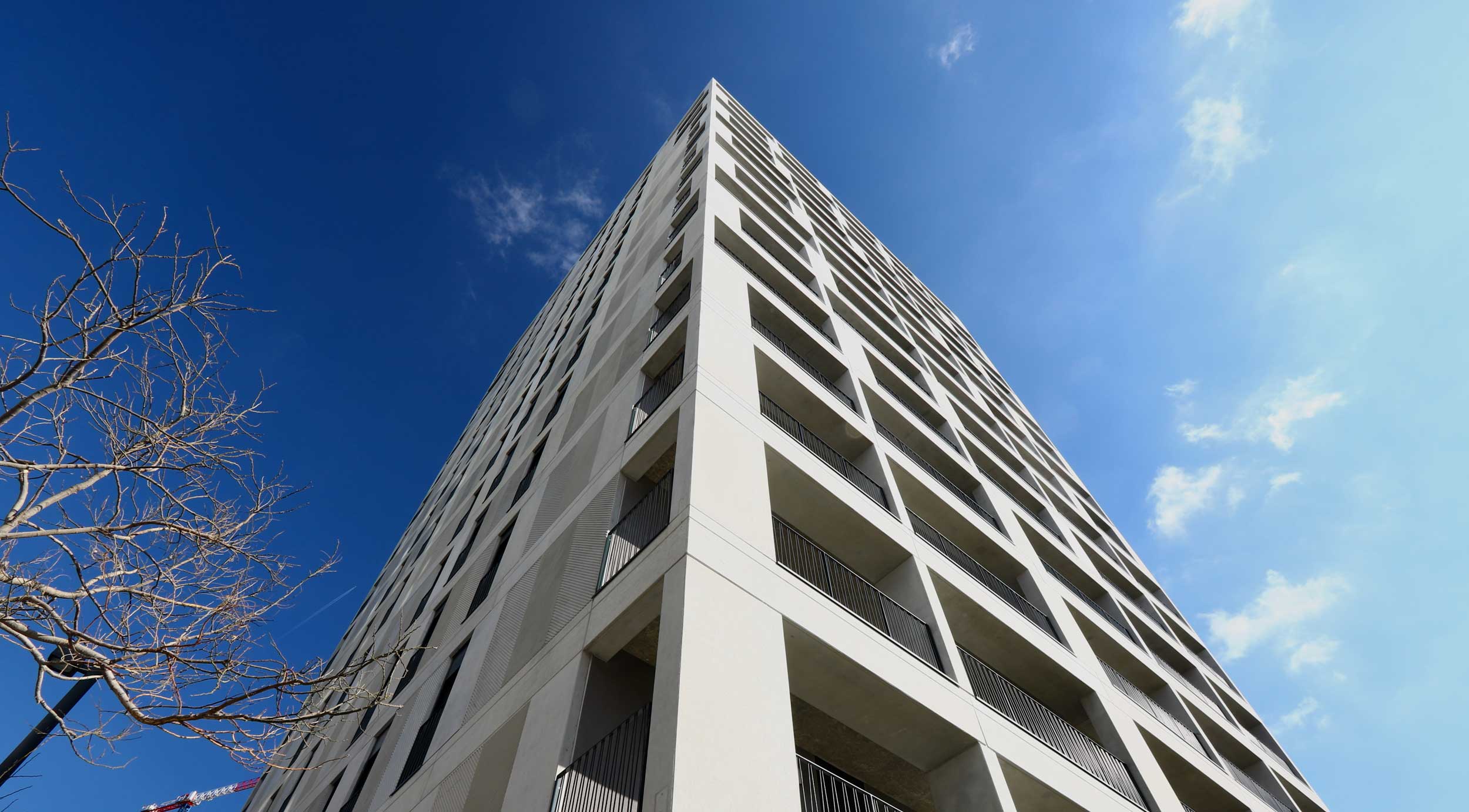 Roansa Habitat by Roansa — image 6