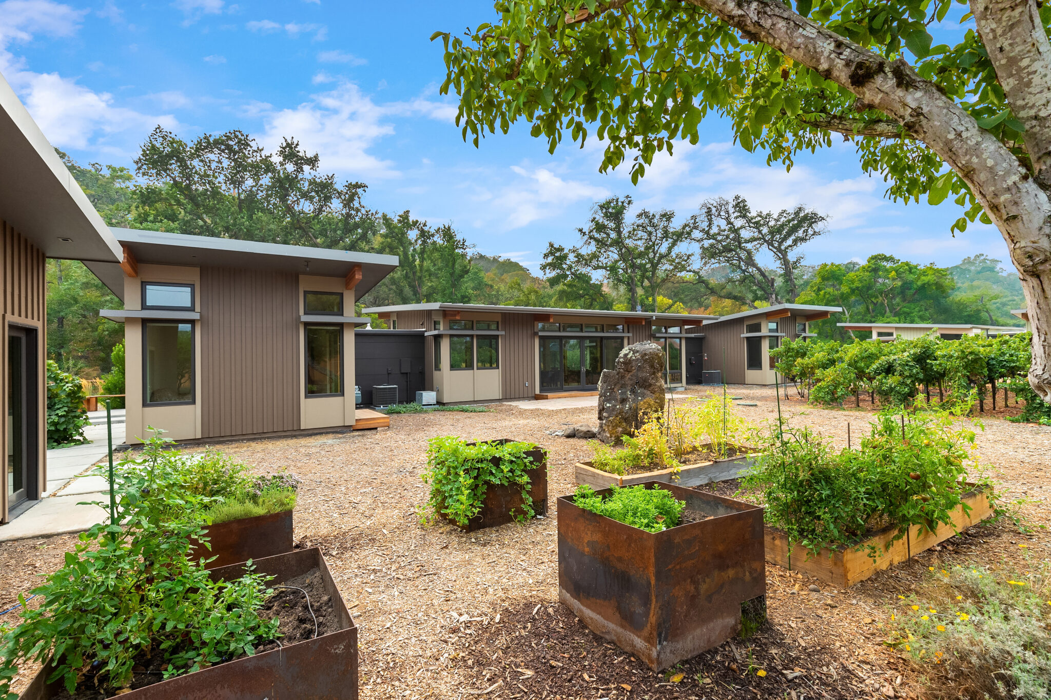 Fast-Track Solutions by Stillwater Dwellings — image 1